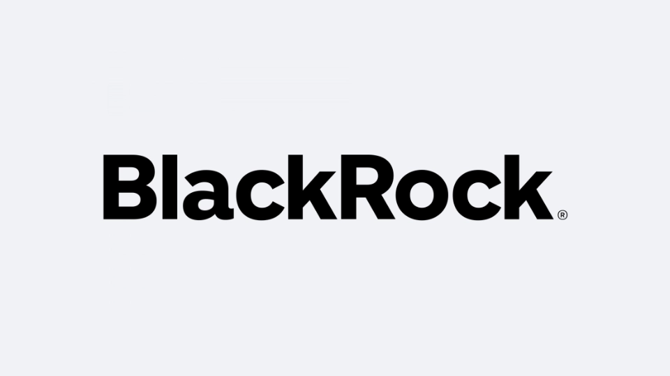 Yapay Zeka ve Veri Analitiği Firması Pyramid, BlackRock’tan 50 Milyon Dolarlık Yatırım Aldı